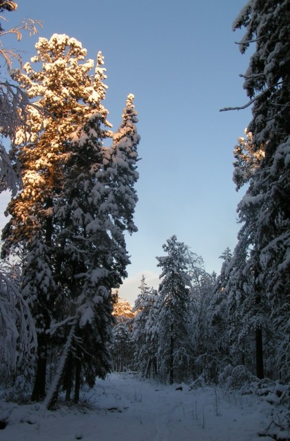 PICT2356.JPG